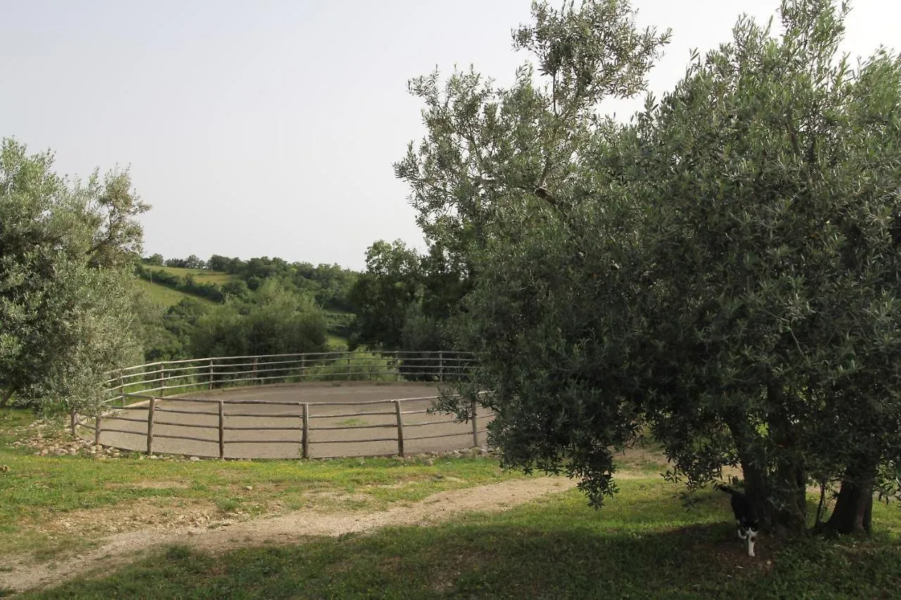 Case Bosco Roccalbegna Apartment