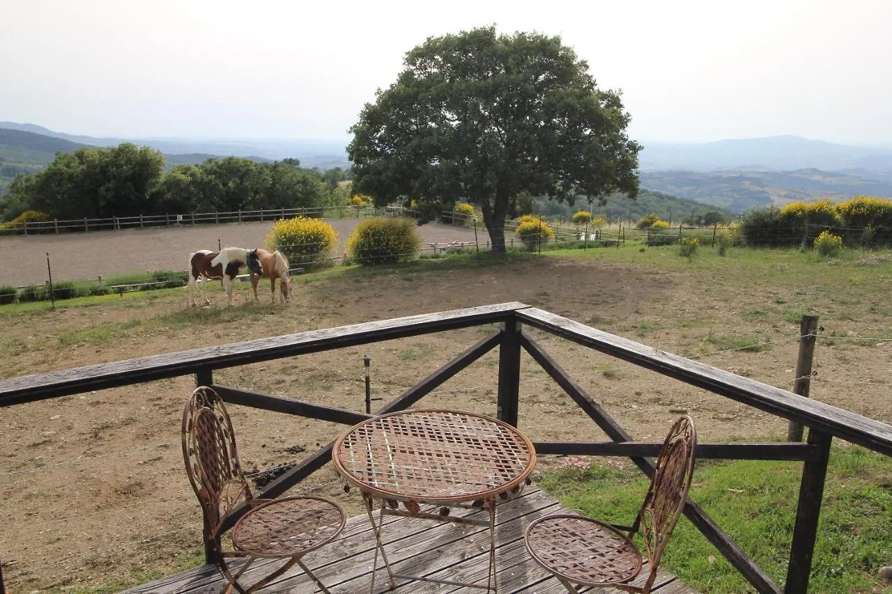 Apartment Case Bosco Roccalbegna Italy